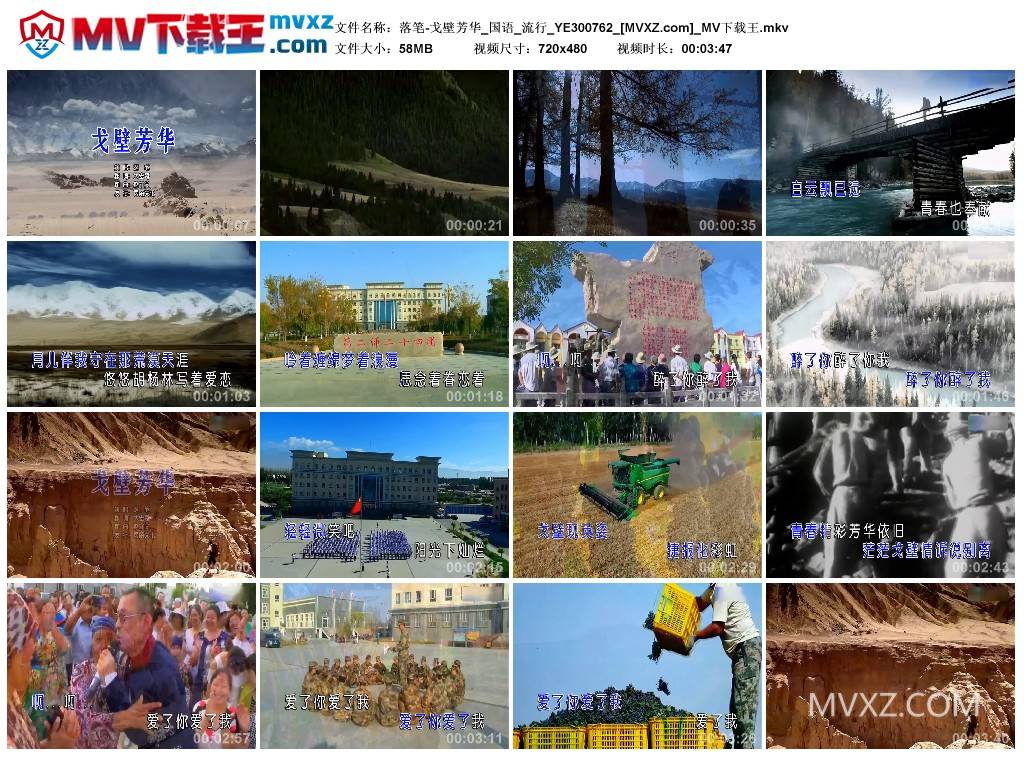 落笔-戈壁芳华_国语_流行_YE300762